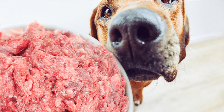 can dogs eat raw beef