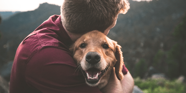 Paws for Relaxation  How Pets Relieve Stress