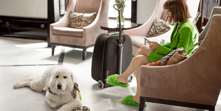 Best Pet-Friendly Hotels in Metro Manila: A Guide for Pet Owners