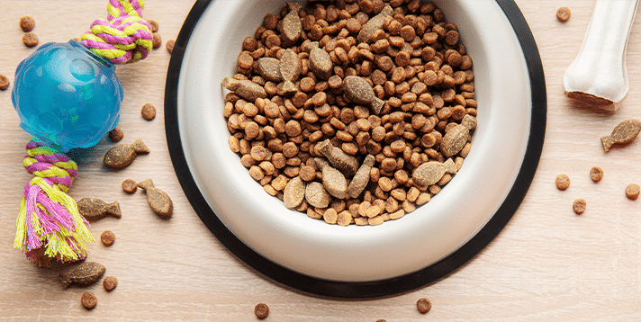 What Makes the Best Natural Dog Food in the Philippines