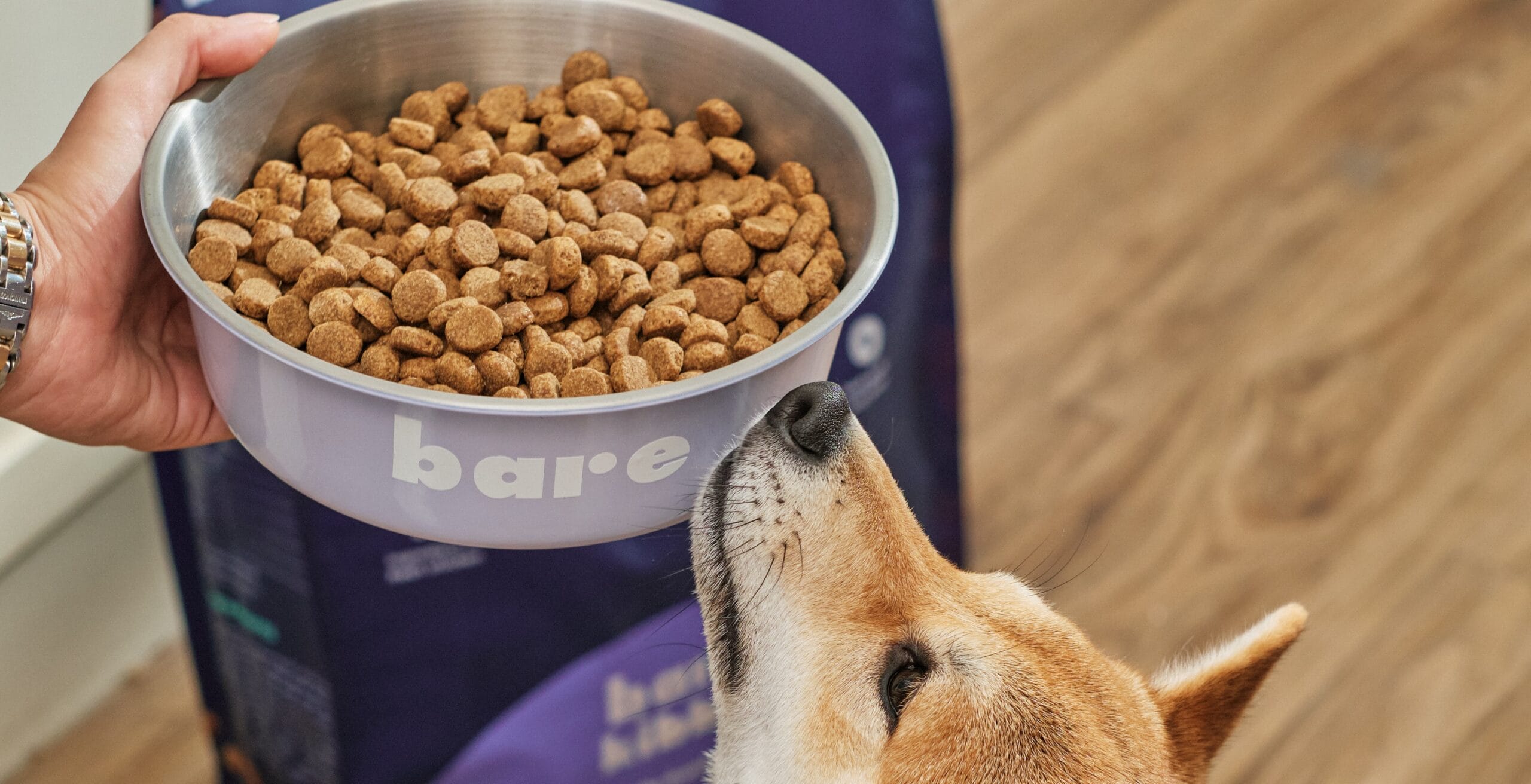 Choosing the Right Pet Food: A Comparative Analysis of Petchola vs. Bare Pets