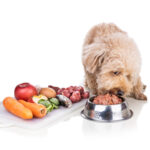 Barepets - Is a 100 Percent Real Meat Diet Enough? 5 Surprising Reasons Premium Kibble and Wet Food May Be Healthier for Your Dog.